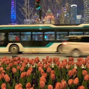 农村真实的偷窥
